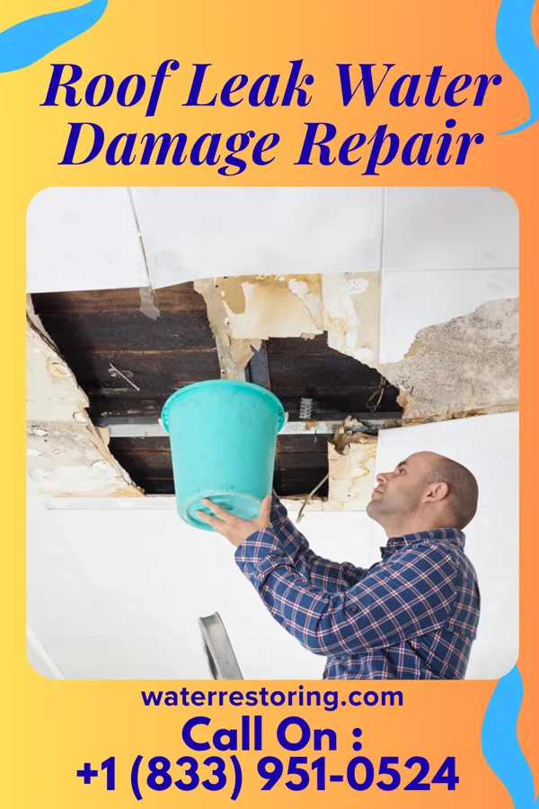 Roof Leak Water Damage Repair in Visalia, CA